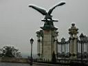 Turul Bird.jpg